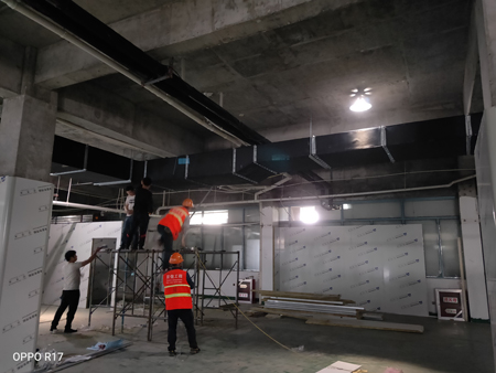 PCR实验室火热进行